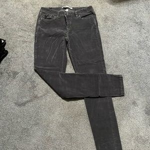 LC Lauren Conrad corduroy pants